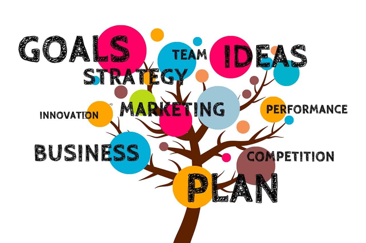 Develop a Business Growth Strategy